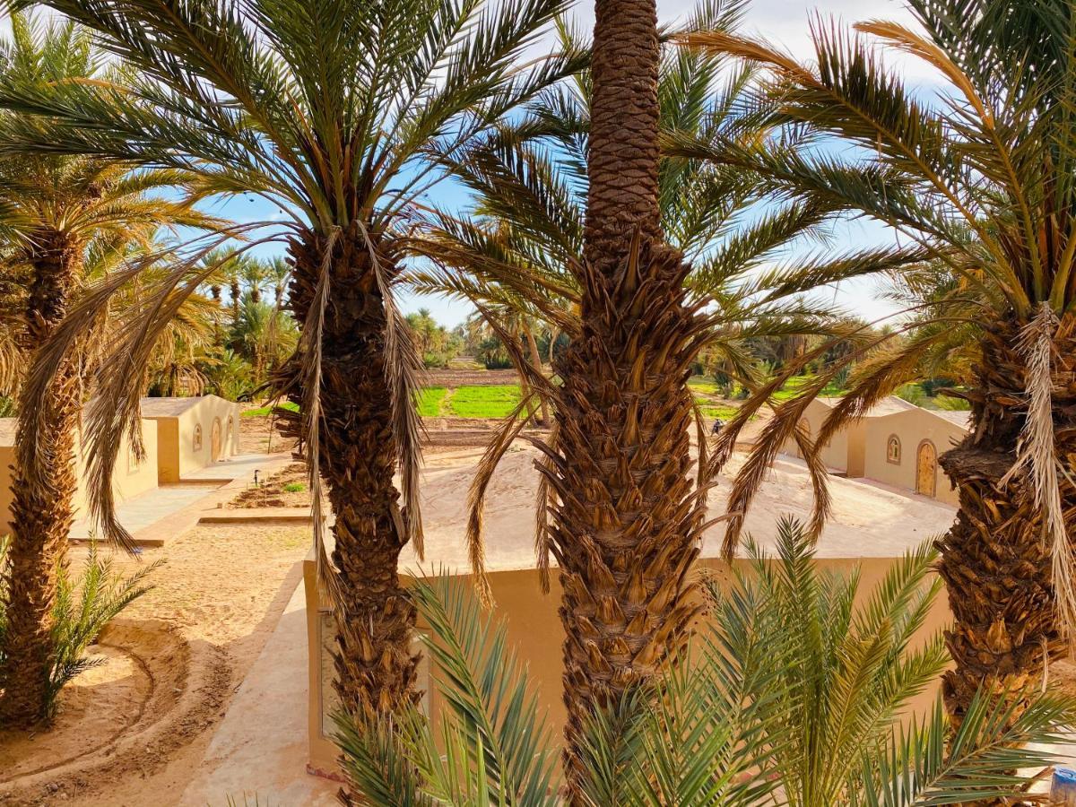 Camp Auberge Sahara Marokko M'Hamid Exterior photo